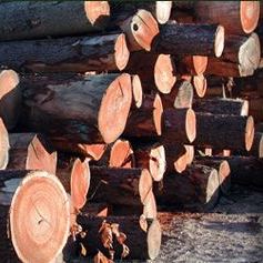 Deadline Extended for Hardwood Checkoff Comments